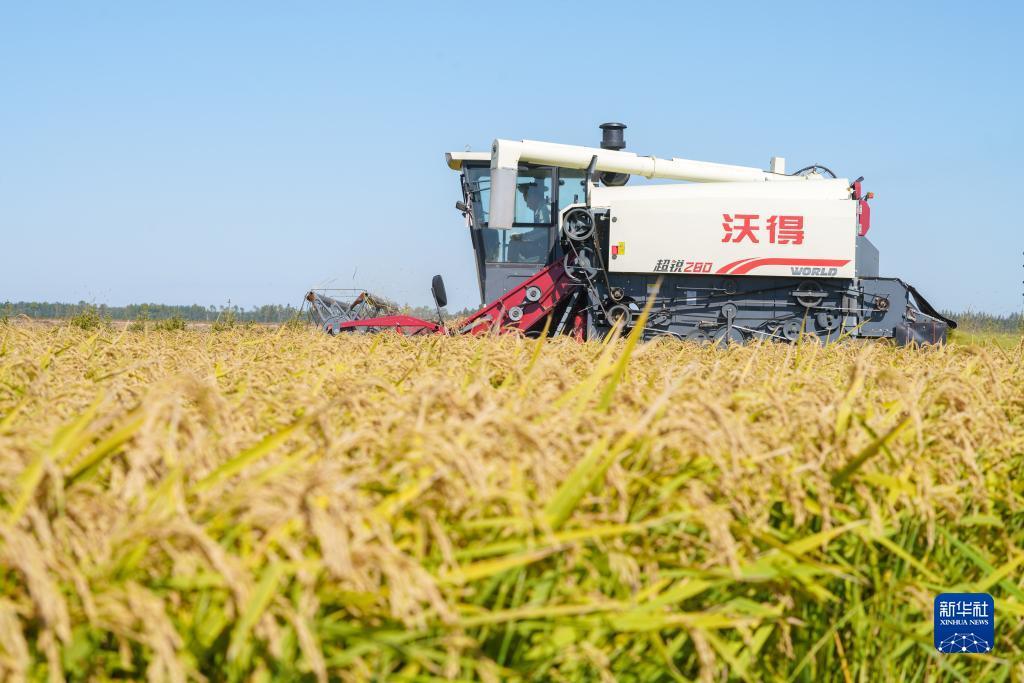 大同dq游戏大厅下载